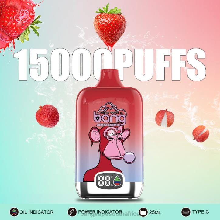 Bang Gang vape - Disposable Bang Vape Digital Smart Screen 15000 puffs 25ml X0VV11