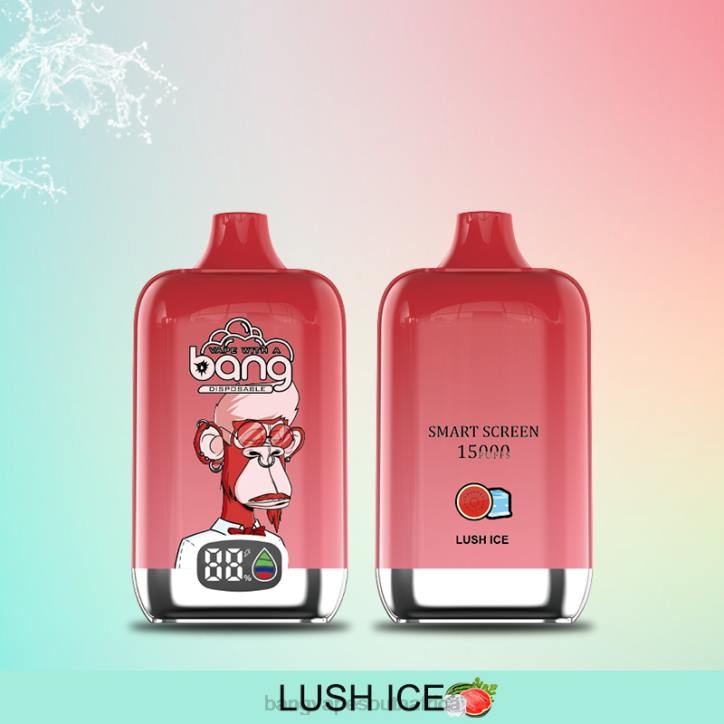 Bang Gang vape - Disposable Bang Vape Digital Smart Screen 15000 puffs 25ml X0VV11