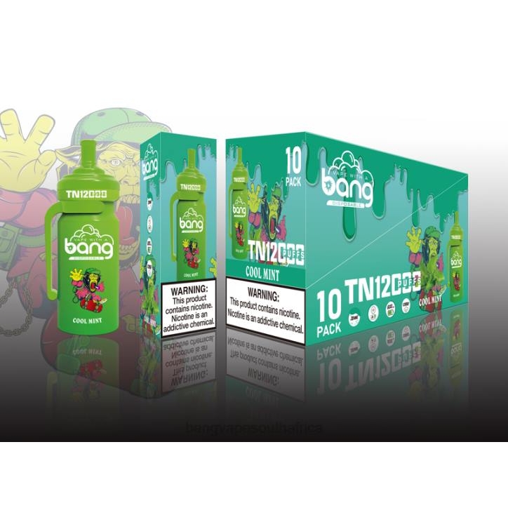 Bang Vape South Africa - Disposable Bang Vape TN12000 Pod with Mesh Coil X0VV5