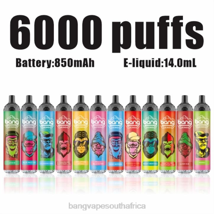 Vape Gang disposables - Disposable Bang Vape King 6000 puffs 5% Nic Rechargeable Type-C X0VV8