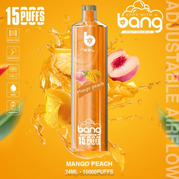 Bang Vape cape town - Disposable Bang Vape XXL 15000 puffs X0VV2