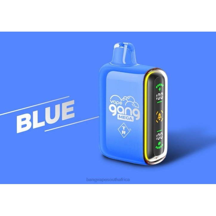 Bang Gang vape - Blue Vape Gang MEGA 20,000 puffs Disposable Vape (Box of 5) X0VV52