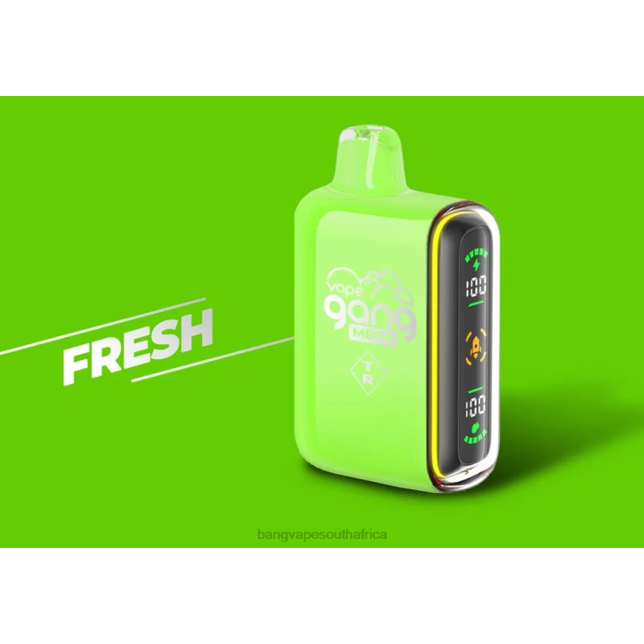 Bang Vape cape town - Fresh Vape Gang MEGA 20,000 puffs Disposable Vape (Box of 5) X0VV53