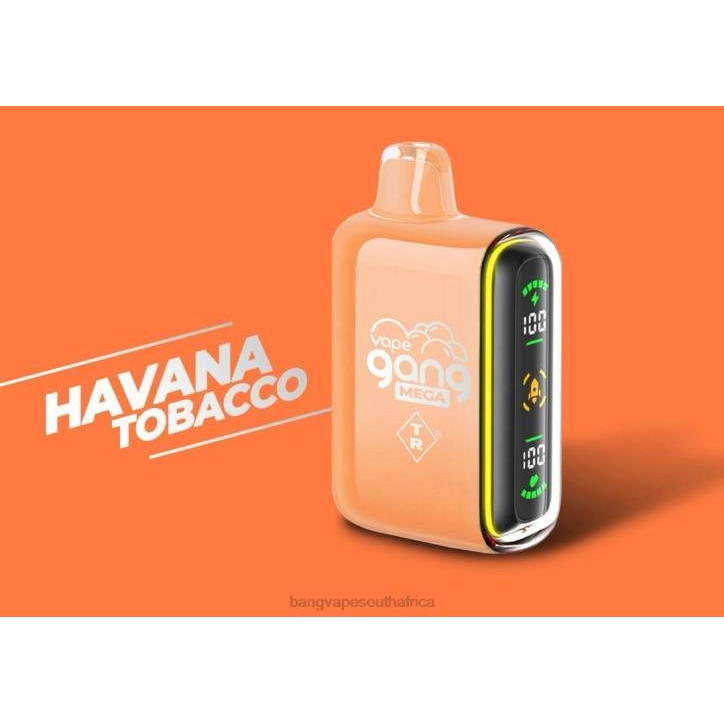 Bang Vape pens - Havana Tobacco Vape Gang MEGA 20,000 puffs Disposable Vape (Box of 5) X0VV55