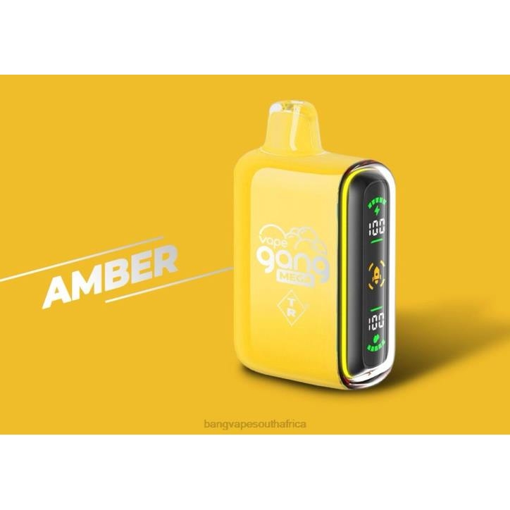Vape Gang South Africa - Amber Vape Gang MEGA 20,000 puffs Disposable Vape (Box of 5) X0VV50