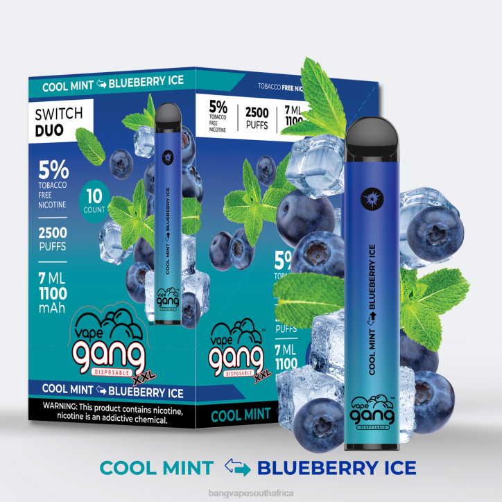 Bang Vape pens - Cool Mint - Blueberry Ice Vape Gang Switch Duo 2 flavors (Box of 10) X0VV43