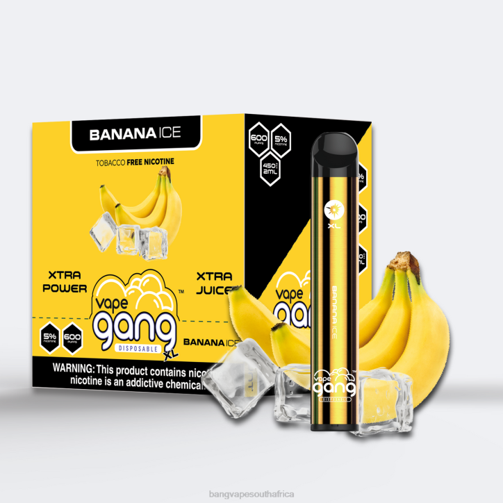 Bang Gang vape - Banana Ice Vape Gang XL Disposable Vapes 600 puffs (Box of 10) X0VV63