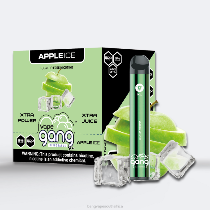 Bang Vape South Africa - Apple Ice Vape Gang XL Disposable Vapes 600 puffs (Box of 10) X0VV67