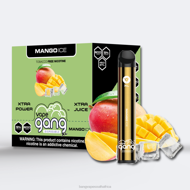 Gang vape price - Mango Ice Vape Gang XL Disposable Vapes 600 puffs (Box of 10) X0VV68
