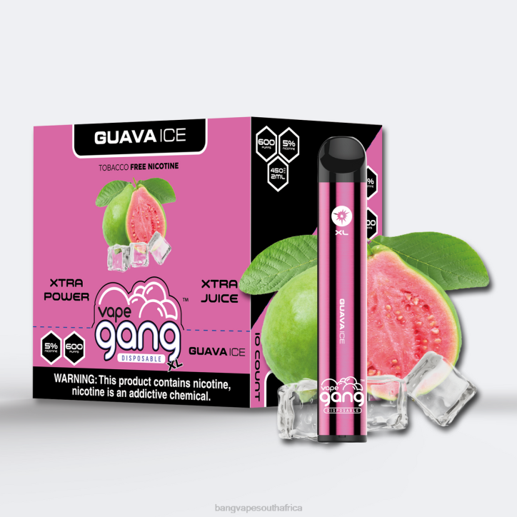 Vape Gang South Africa - Guava Ice Vape Gang XL Disposable Vapes 600 puffs (Box of 10) X0VV72